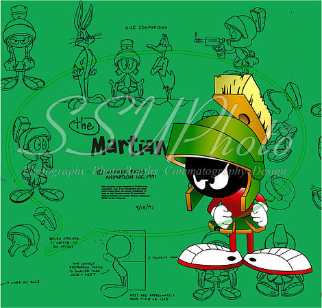 LoonyToons11