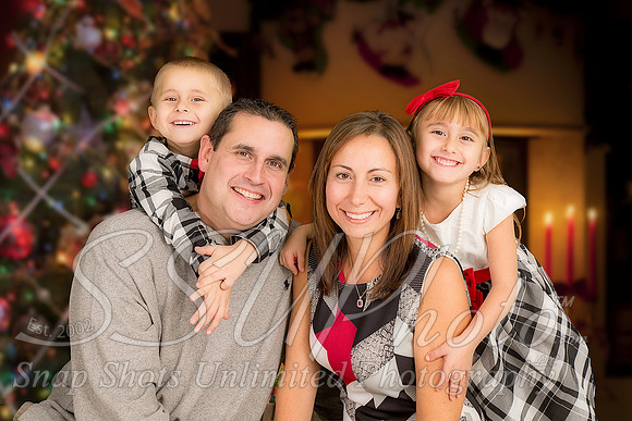 rosachristmas201500040
