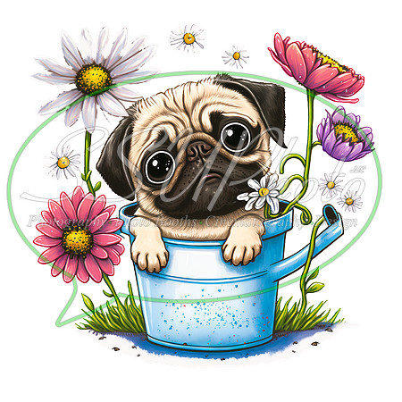 Pugflowerspp