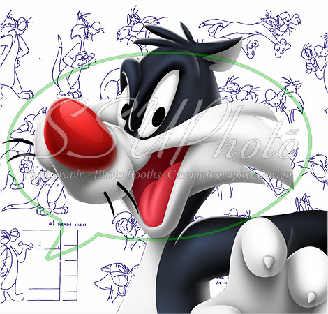 LoonyToons8