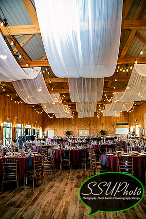 Reception-24