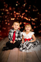 rosachristmas201500007