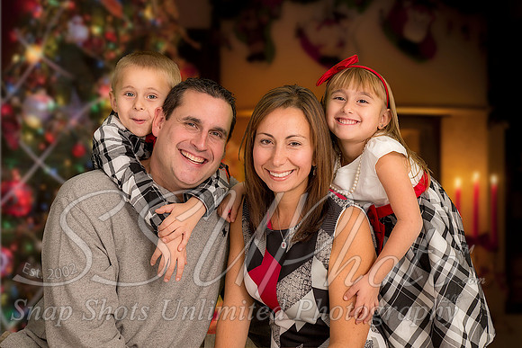 rosachristmas201500046