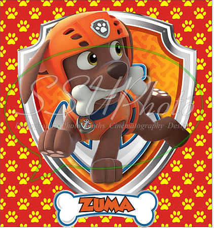 PawpatrolPAtterns28