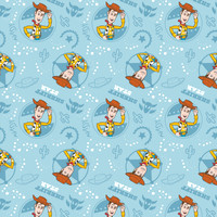 Toystory1 (9)