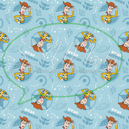 Toystory1 (9)