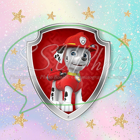 paw patrol74