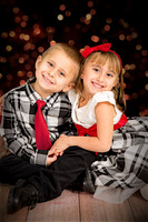 rosachristmas201500012