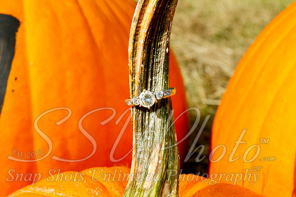 0185engagment