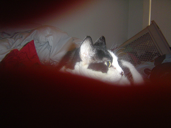 DSC05790