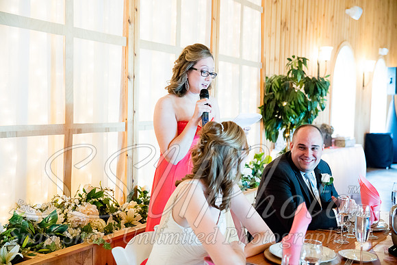 1733reception