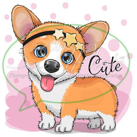 cute animals317