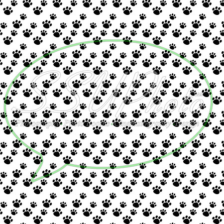 PawpatrolPatterns21