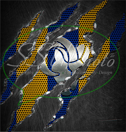 23tornnfl