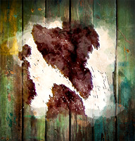 Texturespatterns8