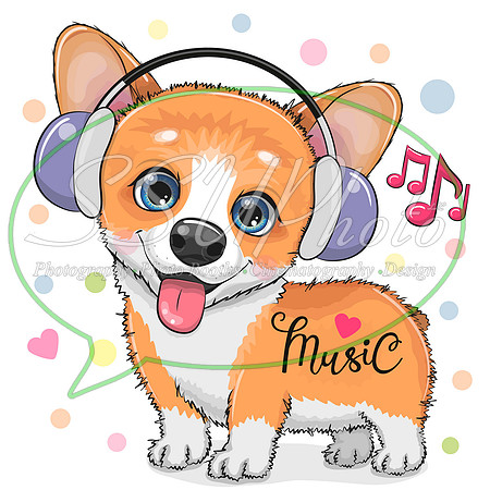 cute animals316
