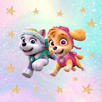 paw patrol72
