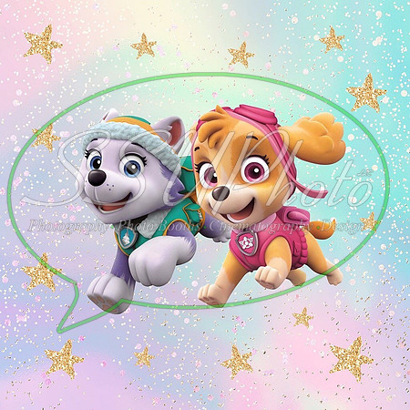 paw patrol72