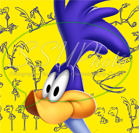 LoonyToons26