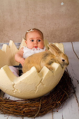 Sullivaneaster0029