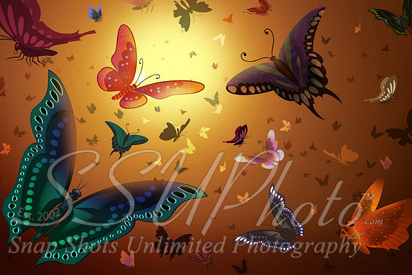 butterfly3