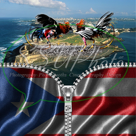 Purterico5