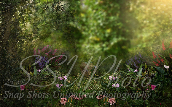 Enchanted1