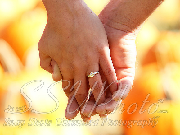 0212engagment