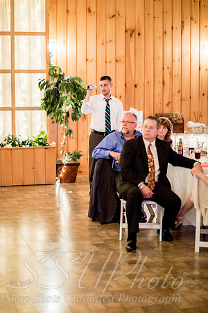 1793reception