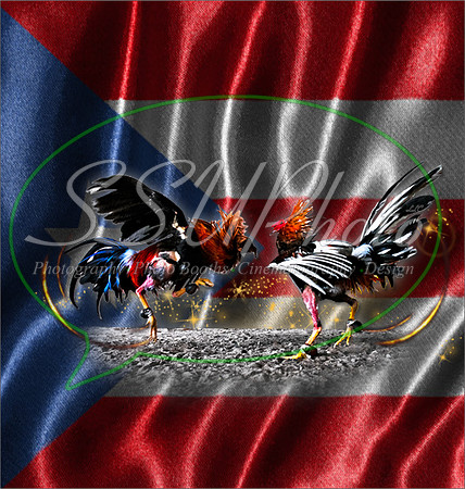 Purterico7