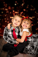 rosachristmas201500010