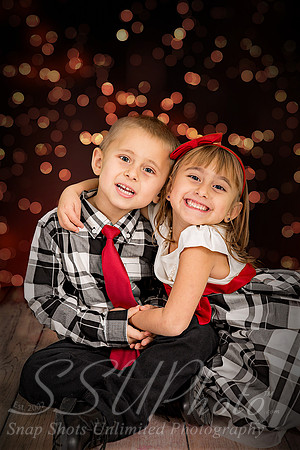 rosachristmas201500010