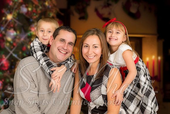 rosachristmas201500045
