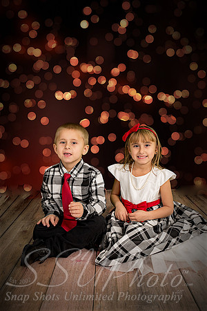 rosachristmas201500005
