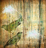 Texturespatterns6