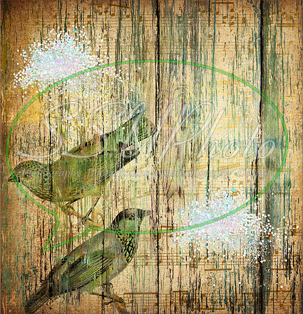 Texturespatterns6