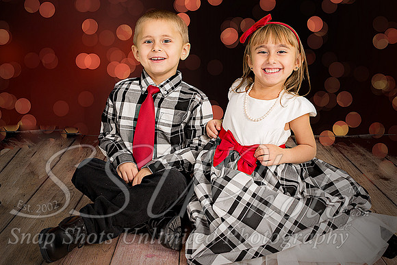 rosachristmas201500008
