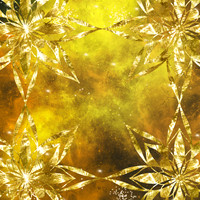 refectivePatterns1 (12)