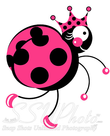 ladybug3
