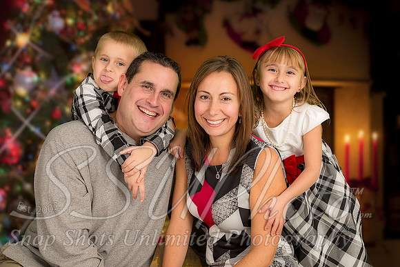 rosachristmas201500044