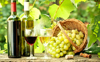 wine11