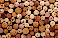 wine7
