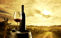 wine16