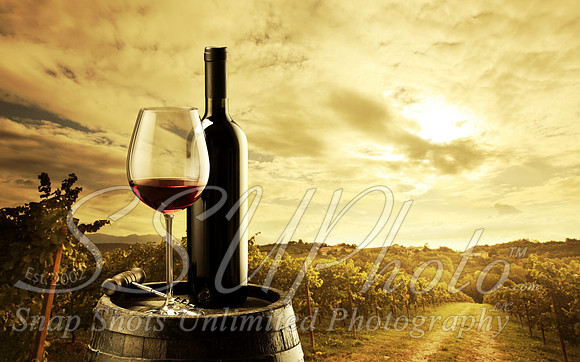 wine16