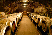 wine17