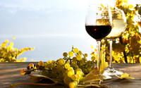 wine15