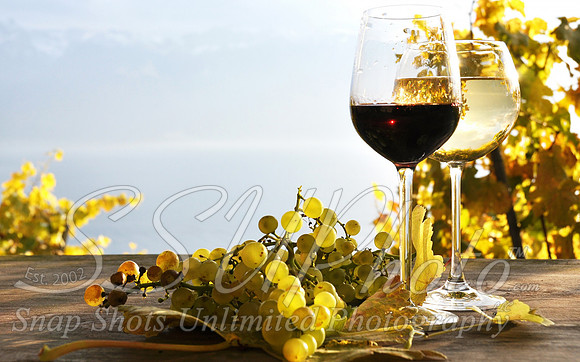 wine15