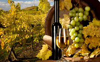 wine5