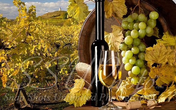 wine5
