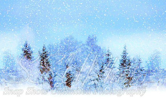 Winter1